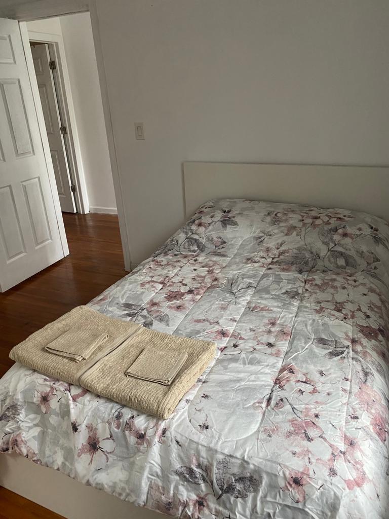 Single Family Ave  Queens, NY 11432, MLS-823930-10