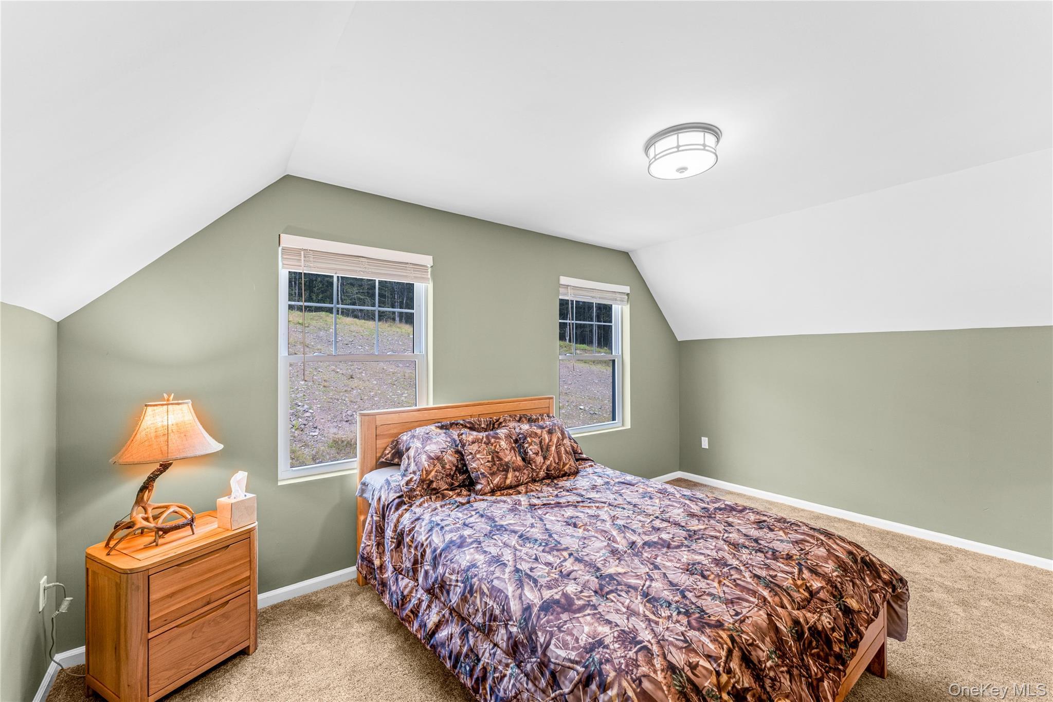 Single Family Aden Hill Road  Sullivan County, NY 12765, MLS-824432-33