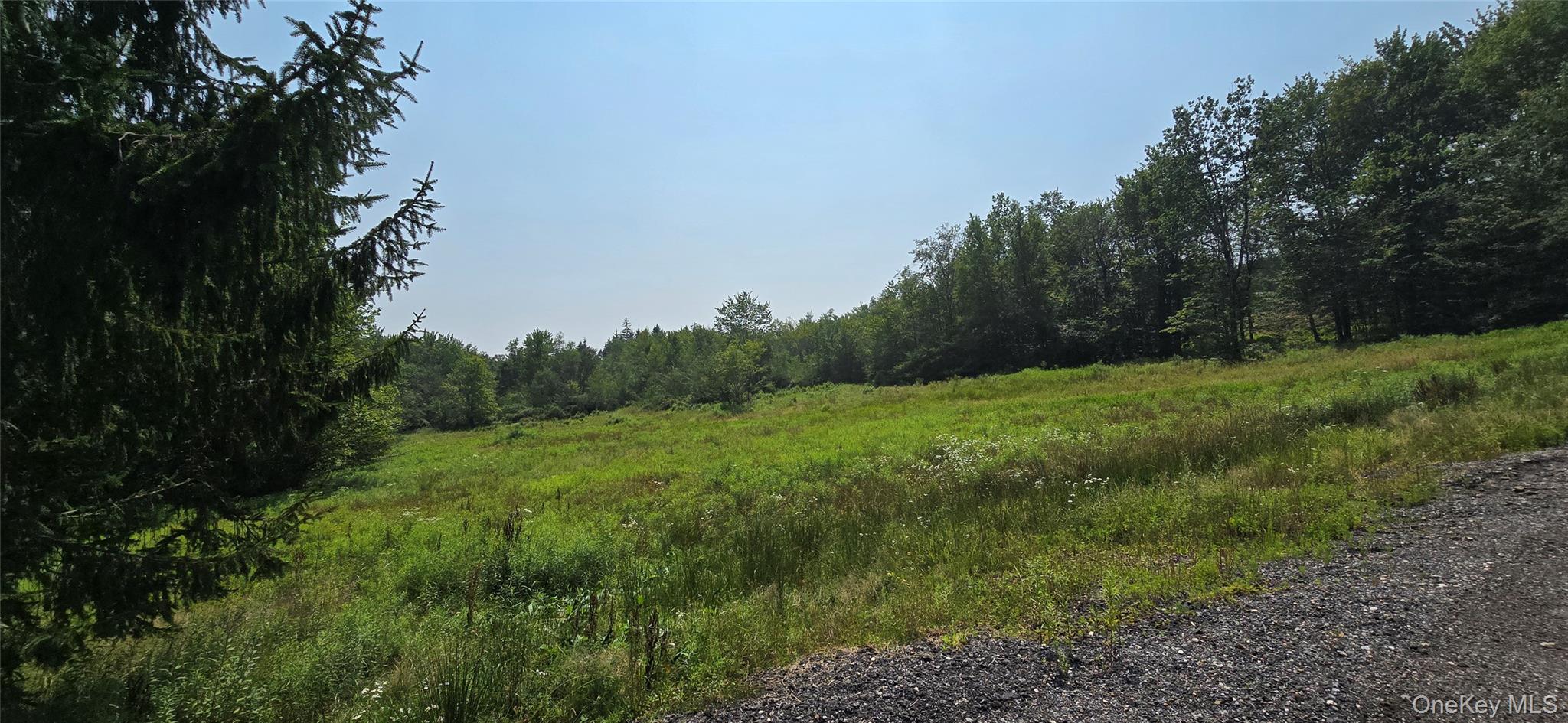 Single Family Aden Hill Road  Sullivan County, NY 12765, MLS-824432-48