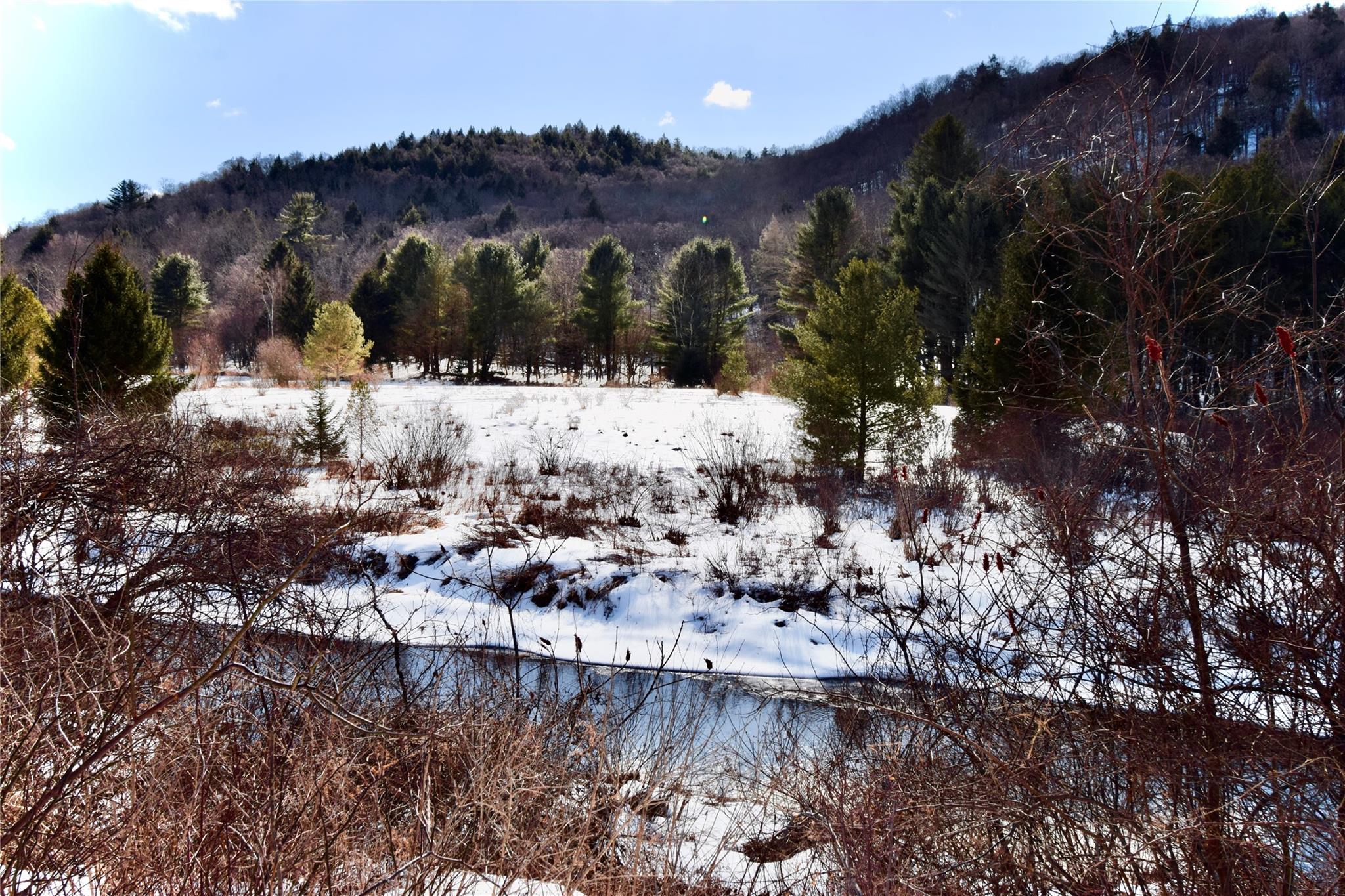 Single Family Gulf  Sullivan County, NY 12776, MLS-824988-12