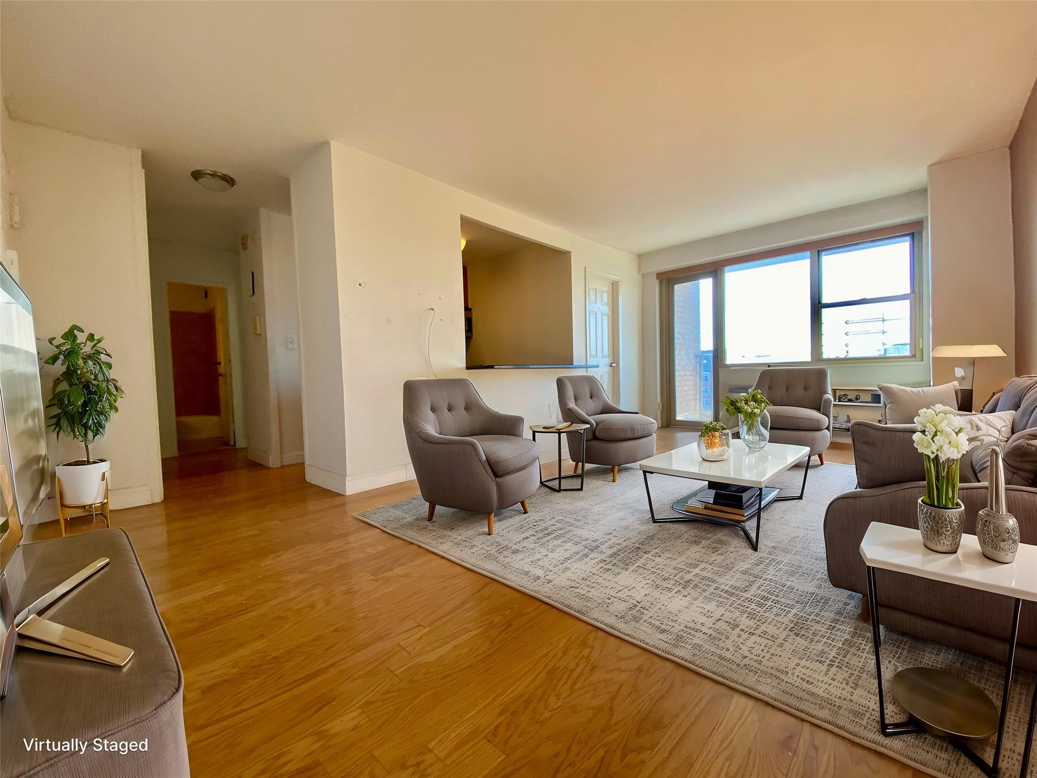 Condo Cozine  Brooklyn, NY 11207, MLS-825198-4