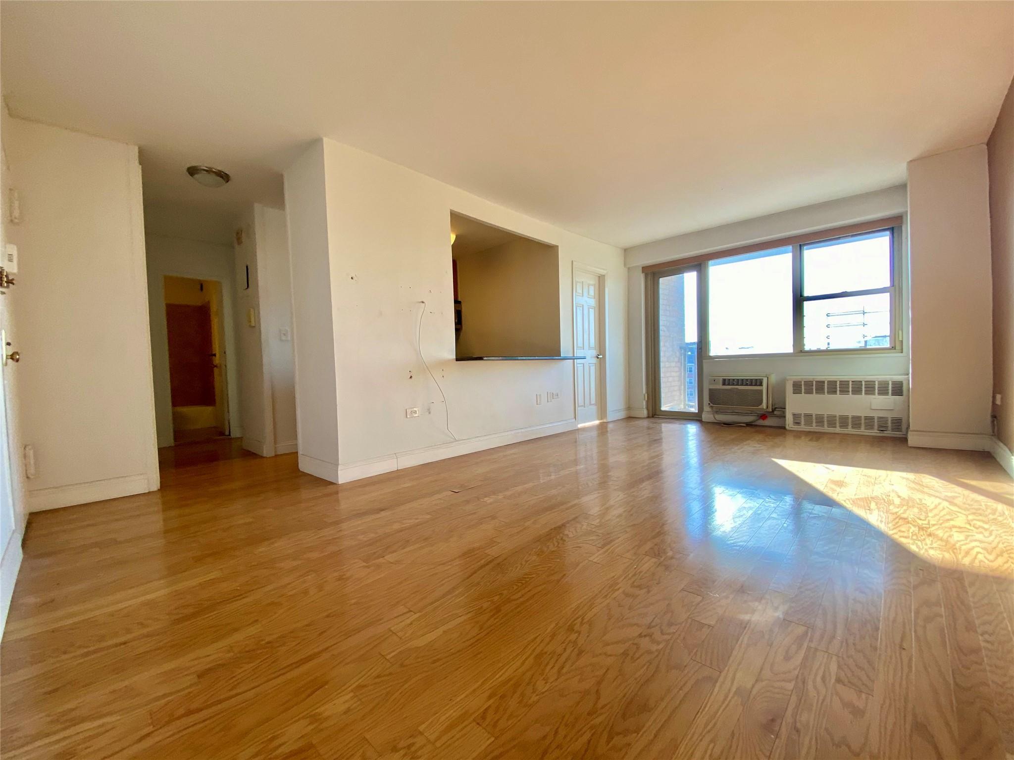Condo Cozine  Brooklyn, NY 11207, MLS-825198-5