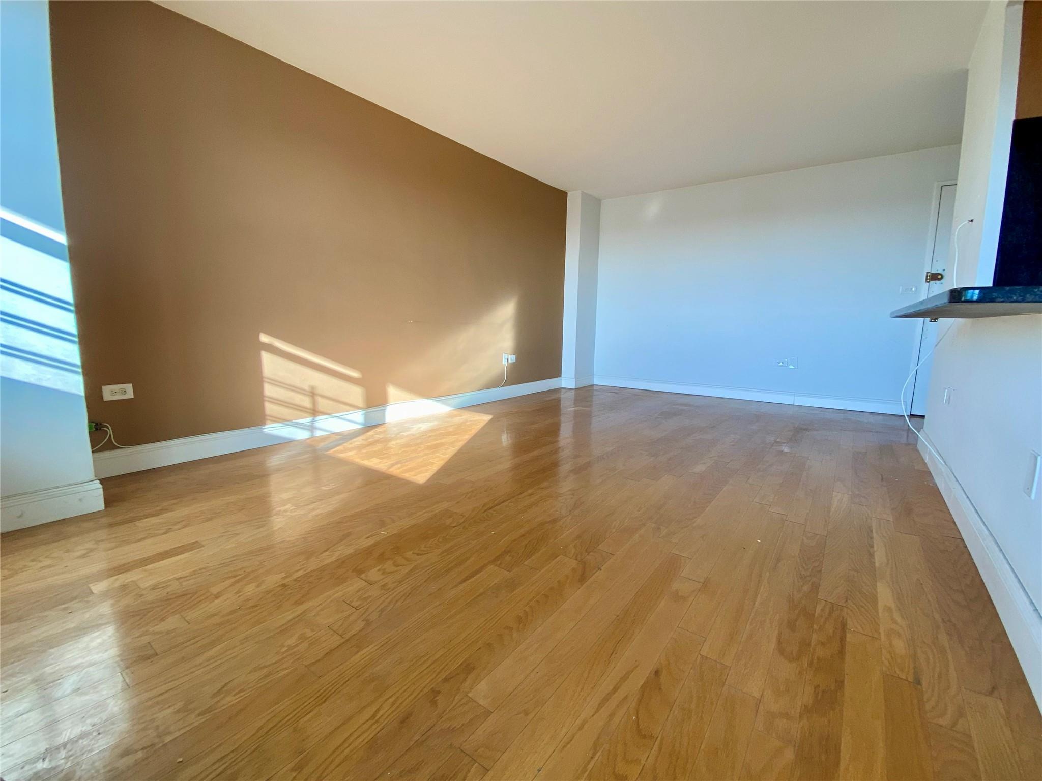 Condo Cozine  Brooklyn, NY 11207, MLS-825198-8