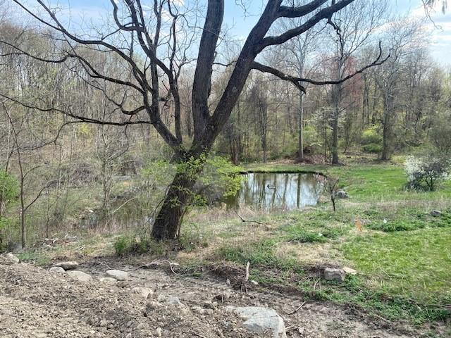 Single Family Leslie  Orange County, NY 12550, MLS-825263-3
