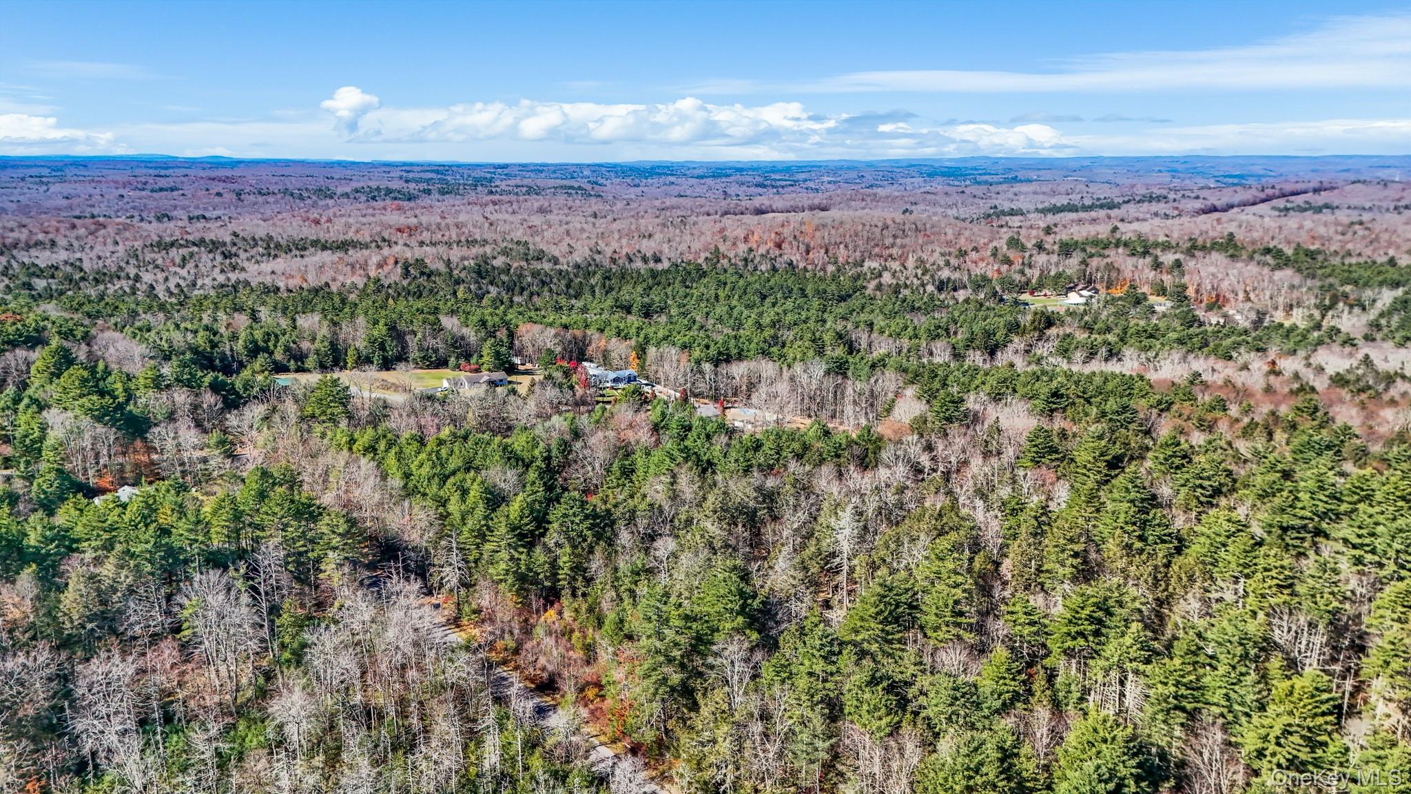 Single Family Mongaup Sullivan County, NY 12701, MLS-825339-2