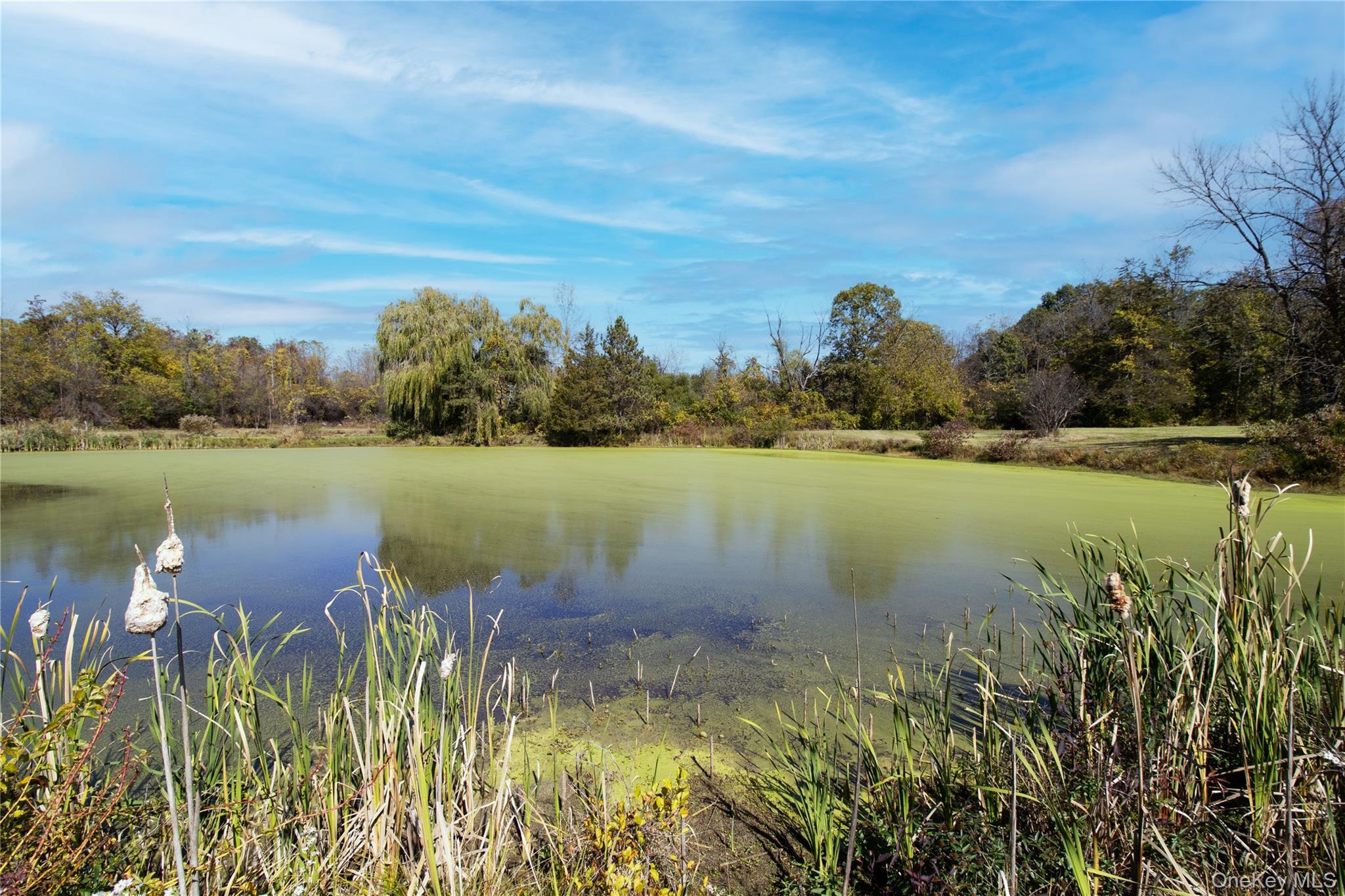 Single Family State Route 9g Columbia County, NY 12526, MLS-825360-34