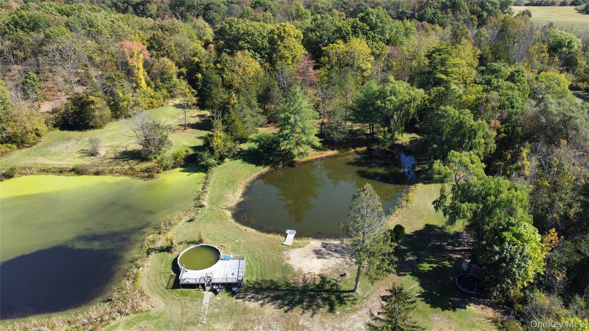 Single Family State Route 9g Columbia County, NY 12526, MLS-825360-38