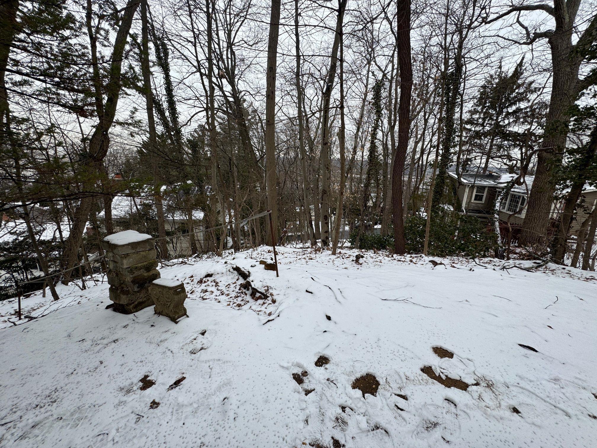 Single Family Carpenter  Nassau County, NY 11579, MLS-825651-10