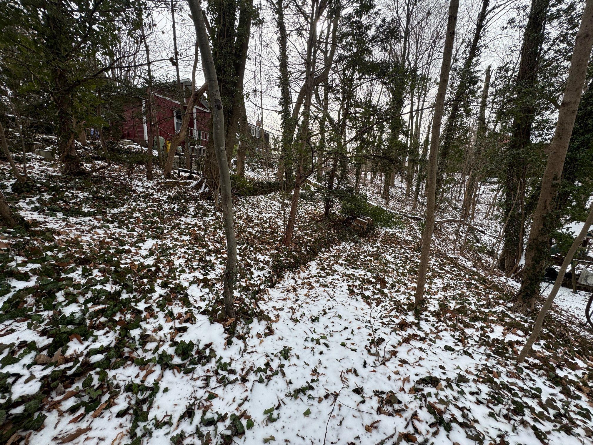 Single Family Carpenter  Nassau County, NY 11579, MLS-825651-11