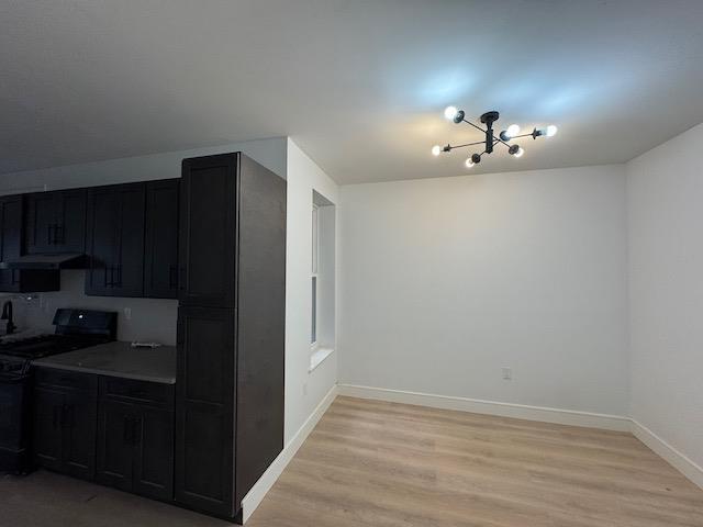 Apartment Park  Brooklyn, NY 11233, MLS-825801-10