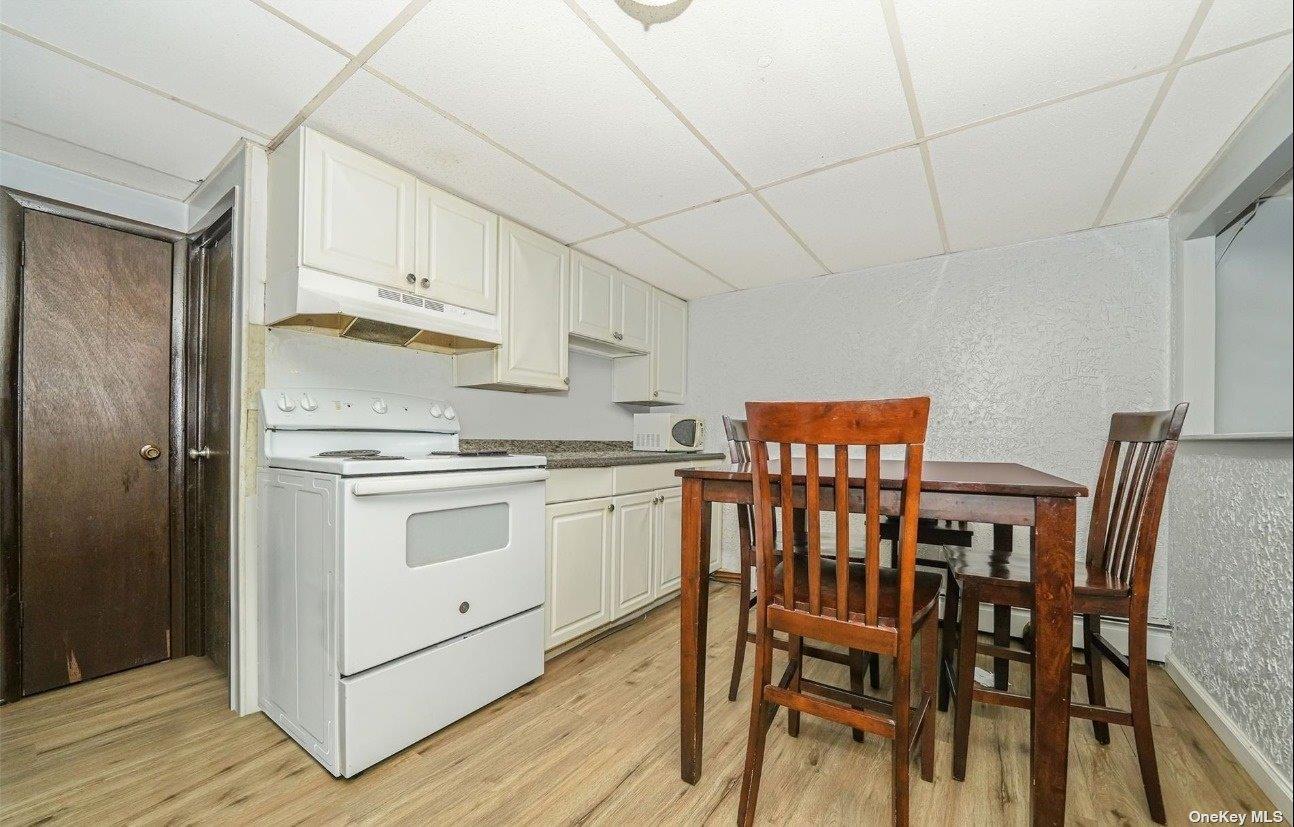 Single Family Rosser  Nassau County, NY 11003, MLS-826597-10