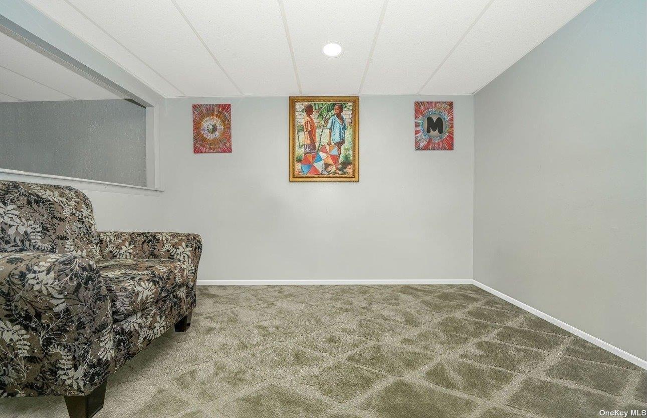Single Family Rosser  Nassau County, NY 11003, MLS-826597-13