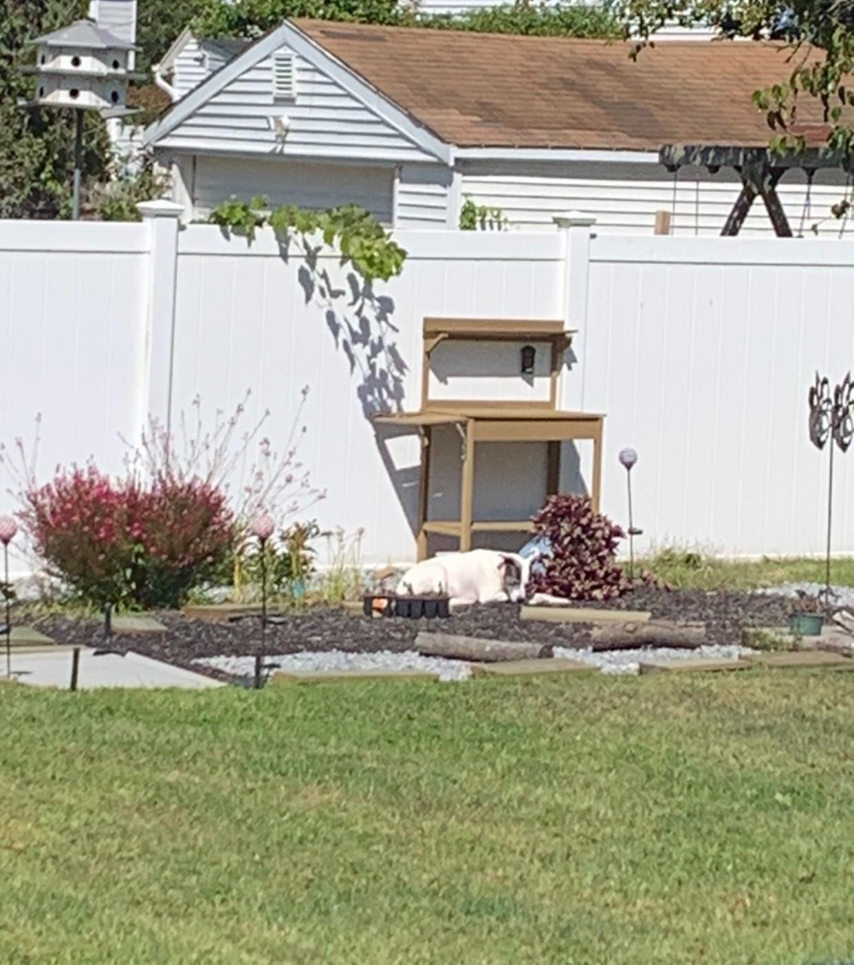 Single Family Grandview  Suffolk County, NY 11967, MLS-826858-26