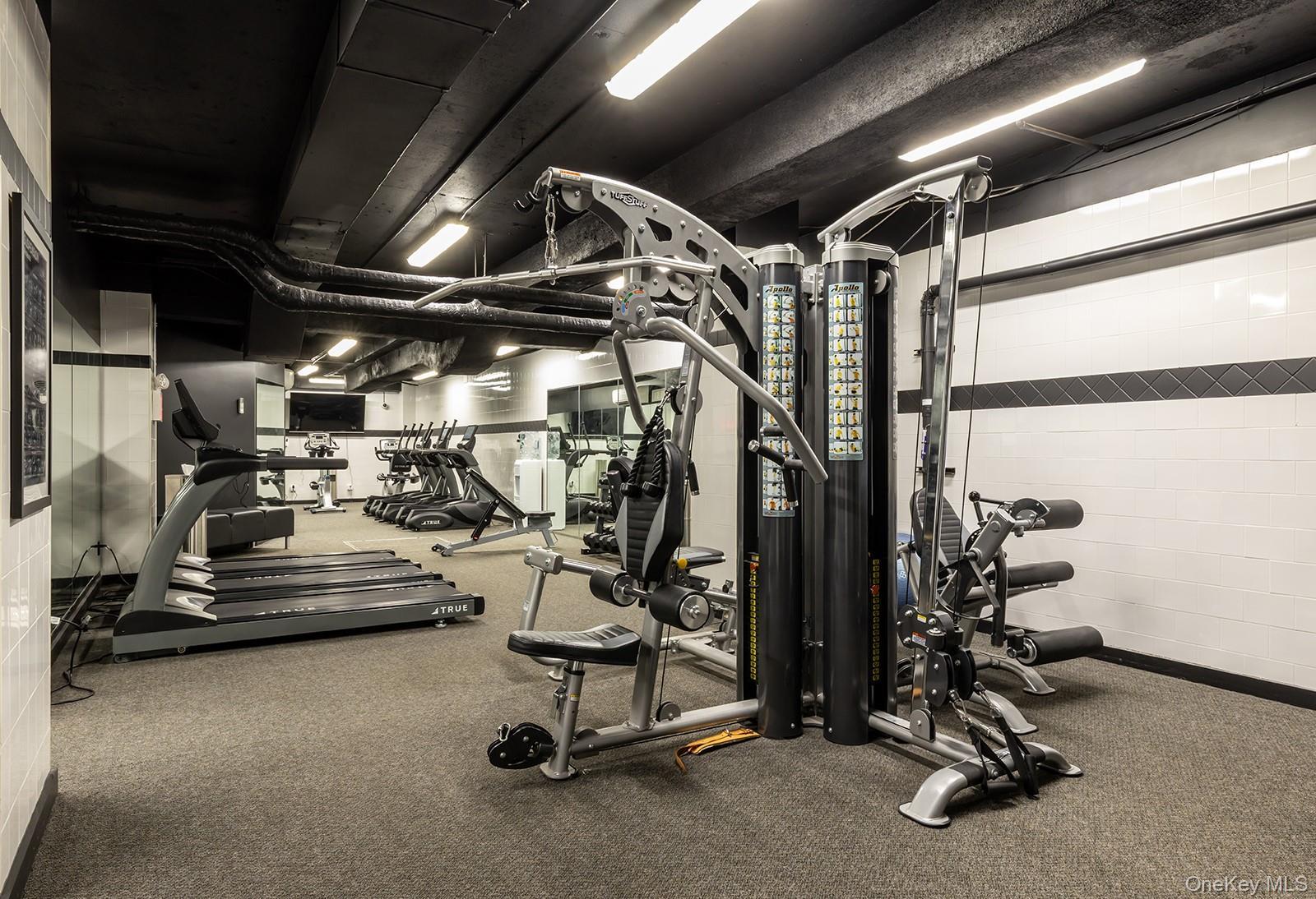 Single Family East 66th Street Manhattan, NY 10065, MLS-826900-11