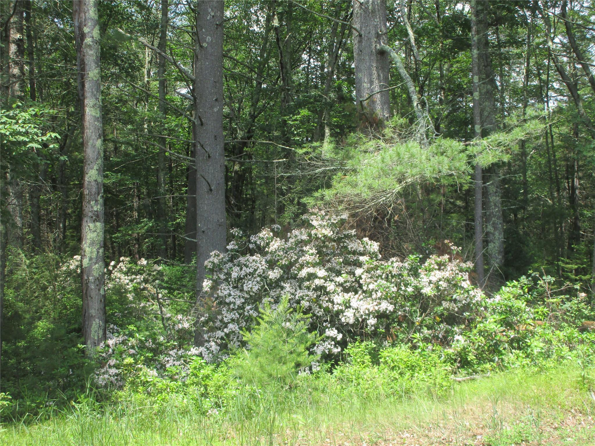 Single Family Whitehead  Orange County, NY 12780, MLS-827447-9