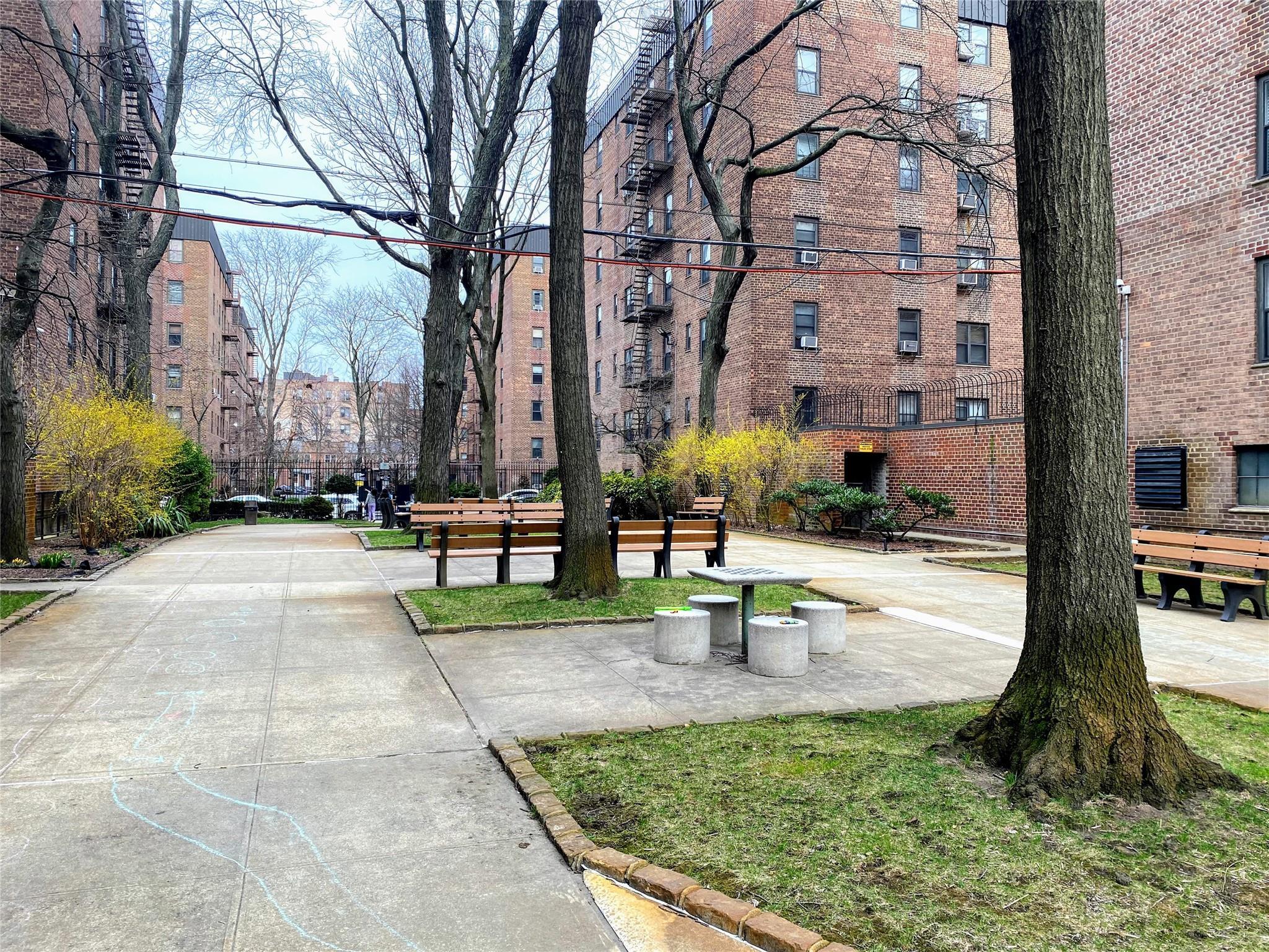 Coop 32  Queens, NY 11369, MLS-827710-2