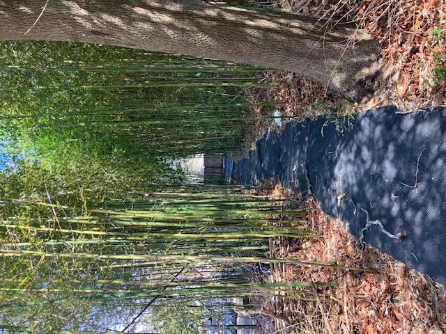 Single Family Walker  Suffolk County, NY 11942, MLS-827751-26