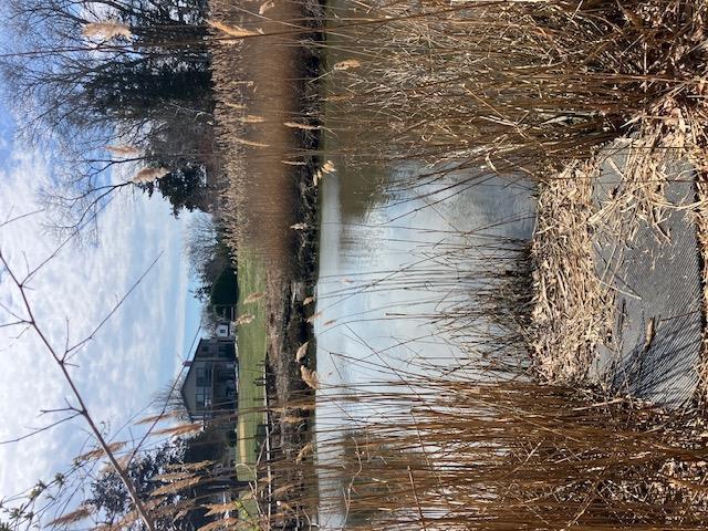 Single Family Walker  Suffolk County, NY 11942, MLS-827751-28