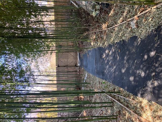 Single Family Walker  Suffolk County, NY 11942, MLS-827751-30