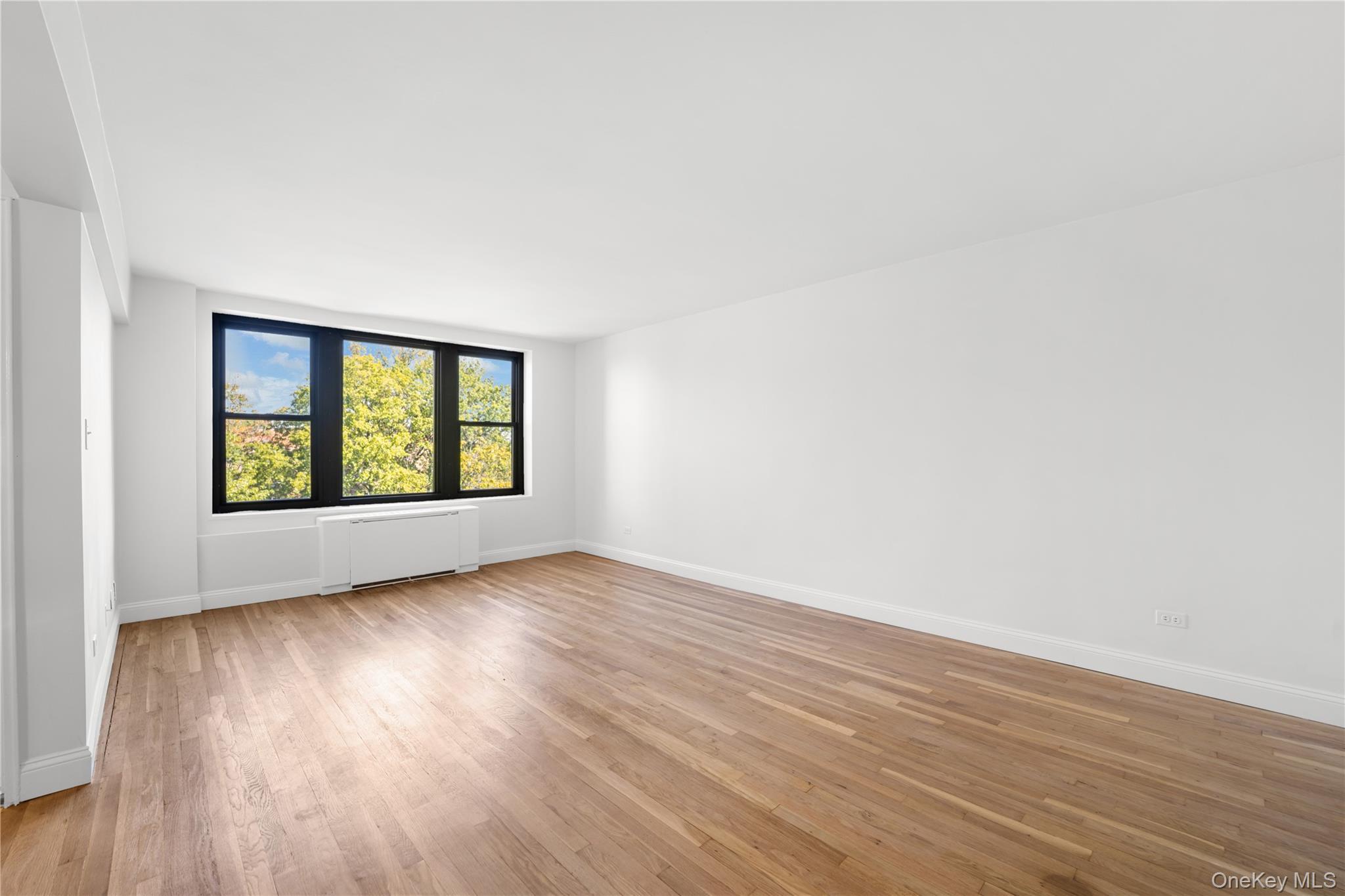 Coop Corporal Kennedy Queens, NY 11360, MLS-828276-3