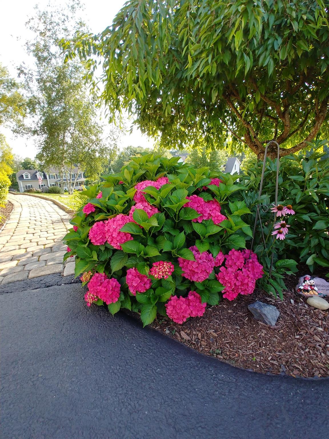 Single Family Victorian  Ulster County, NY 12547, MLS-828431-43