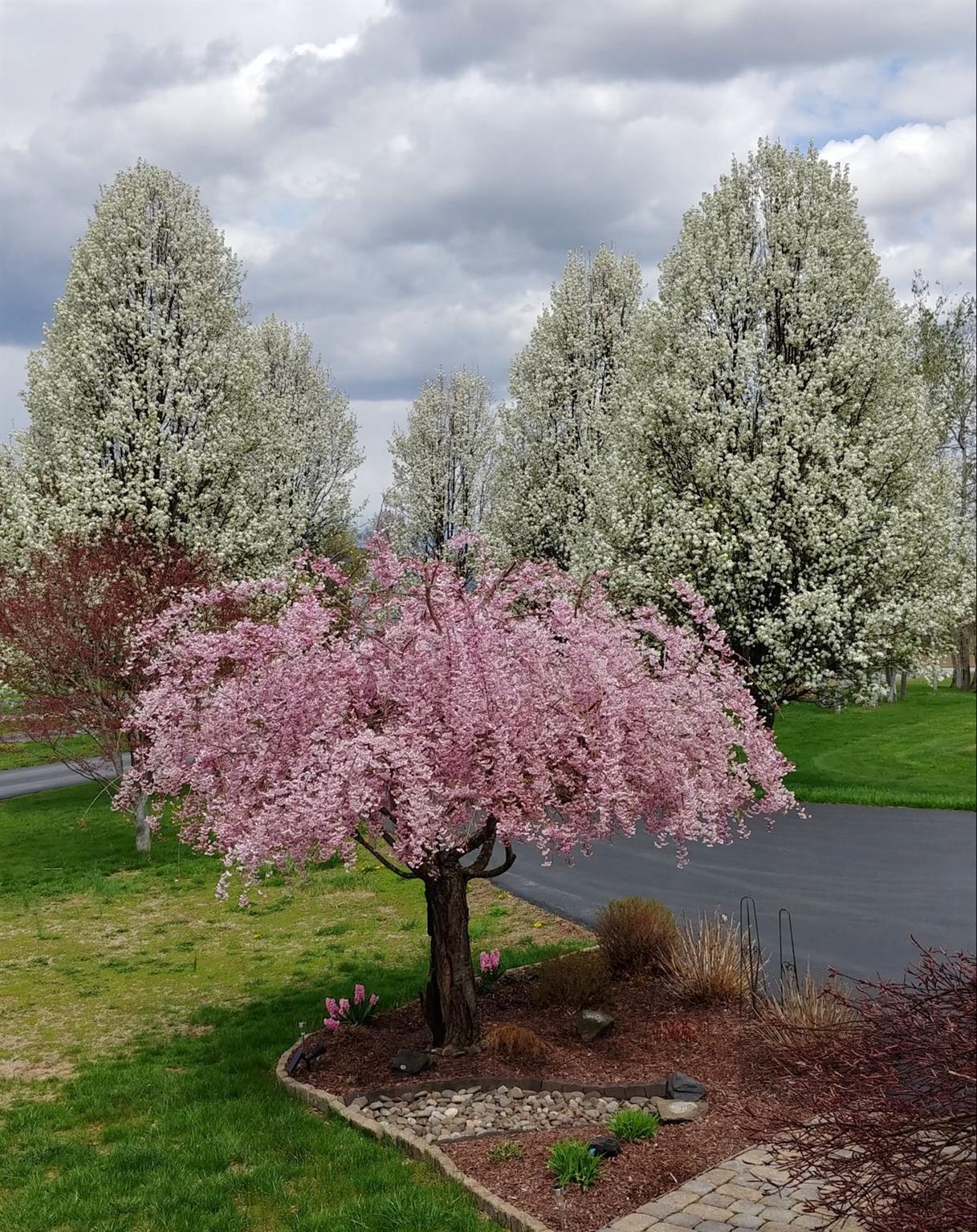 Single Family Victorian  Ulster County, NY 12547, MLS-828431-48