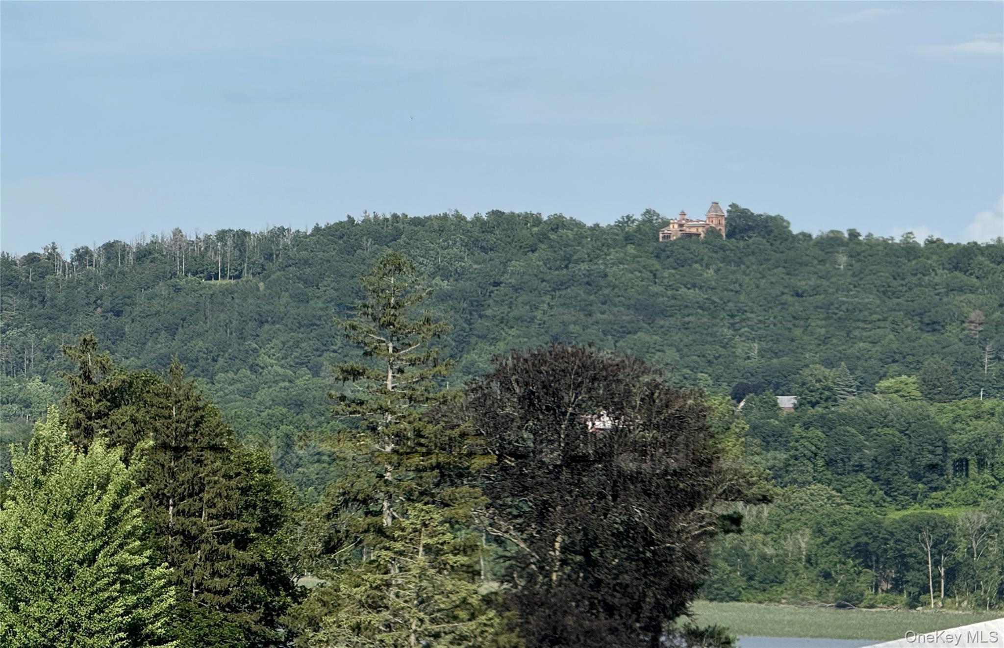 Single Family Prospect  Greene County, NY 12414, MLS-829538-41