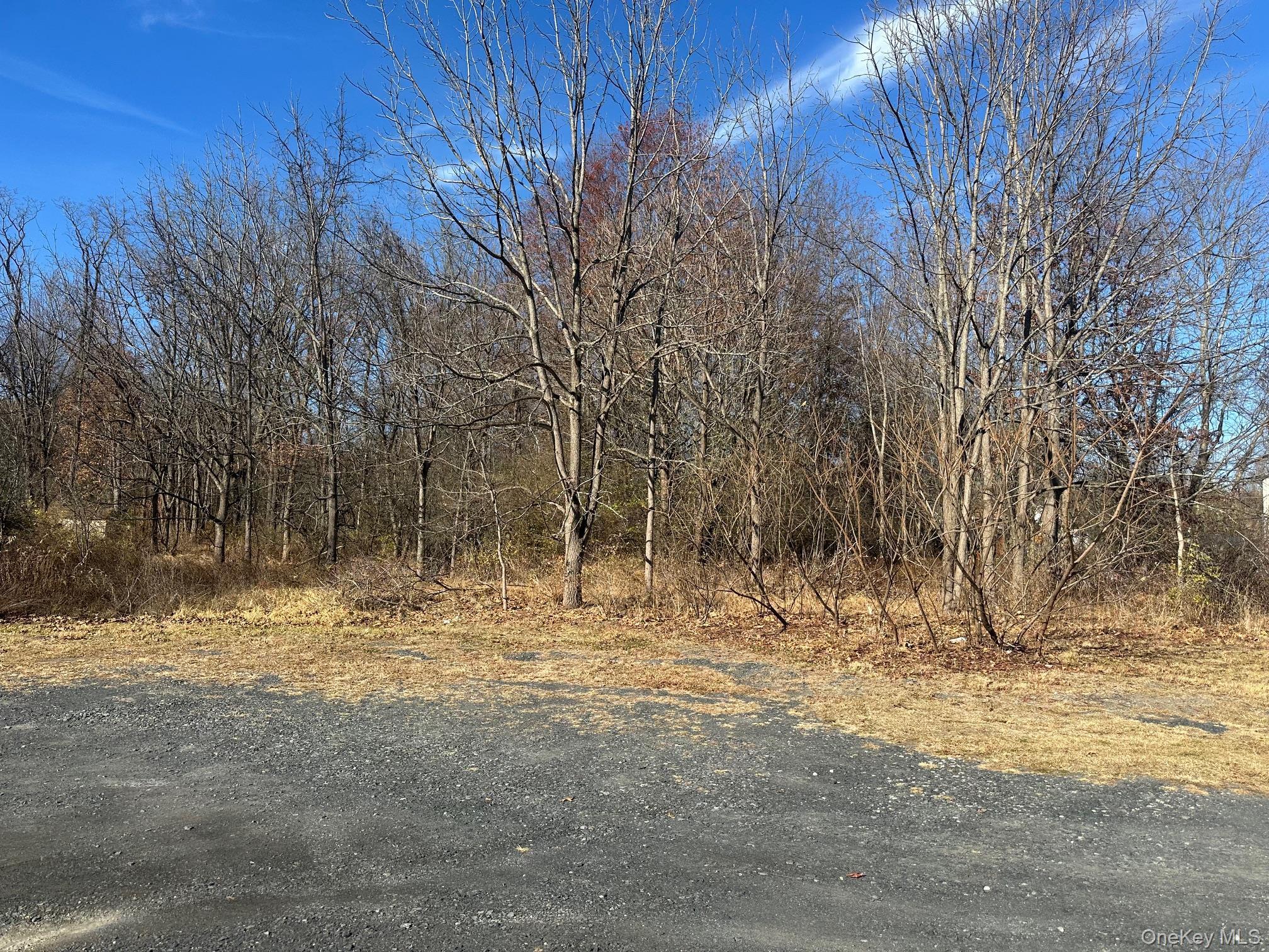 Single Family Route 94  Orange County, NY 12553, MLS-829593-3