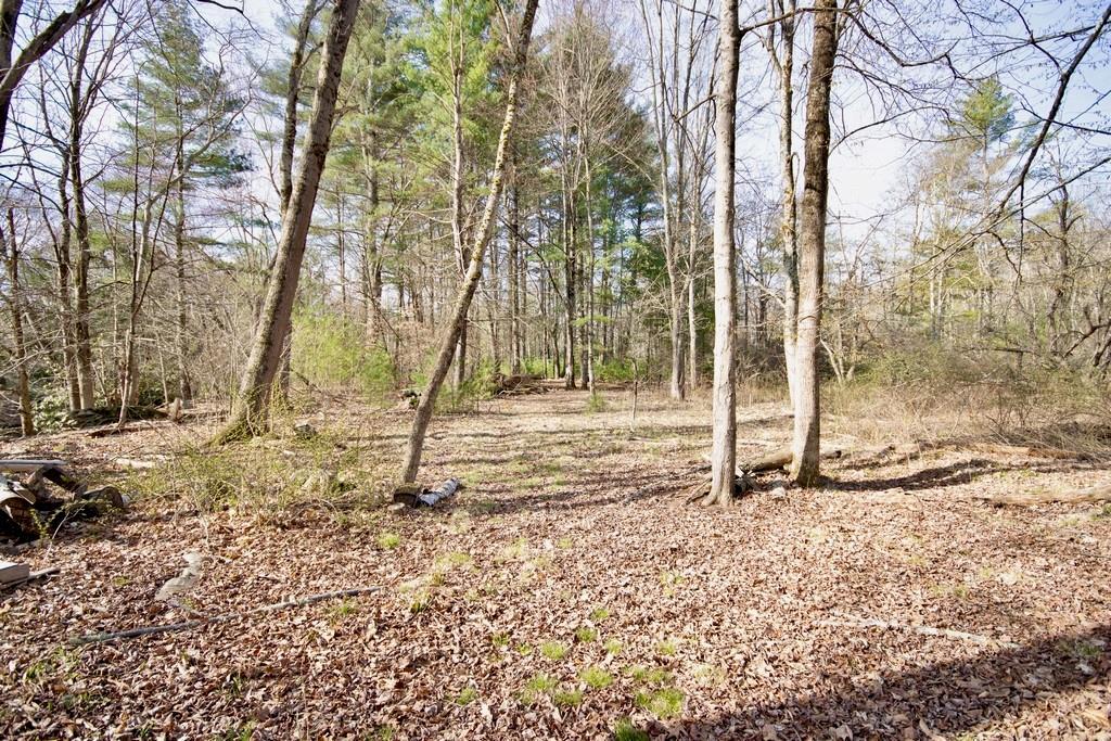 Single Family Plank  Sullivan County, NY 12762, MLS-829791-18