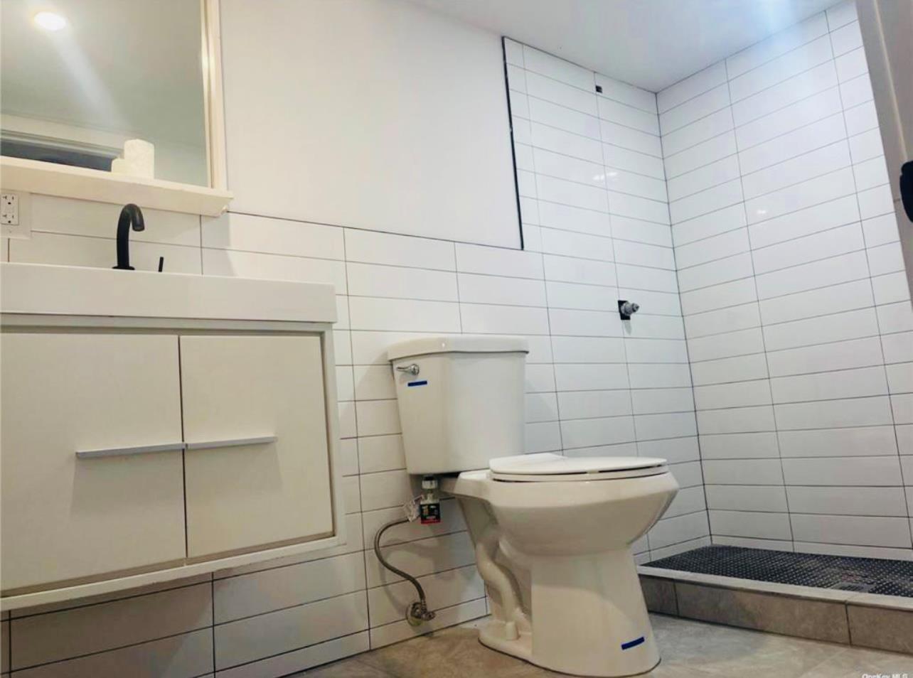 Single Family Ruscoe St  Queens, NY 11433, MLS-829882-2