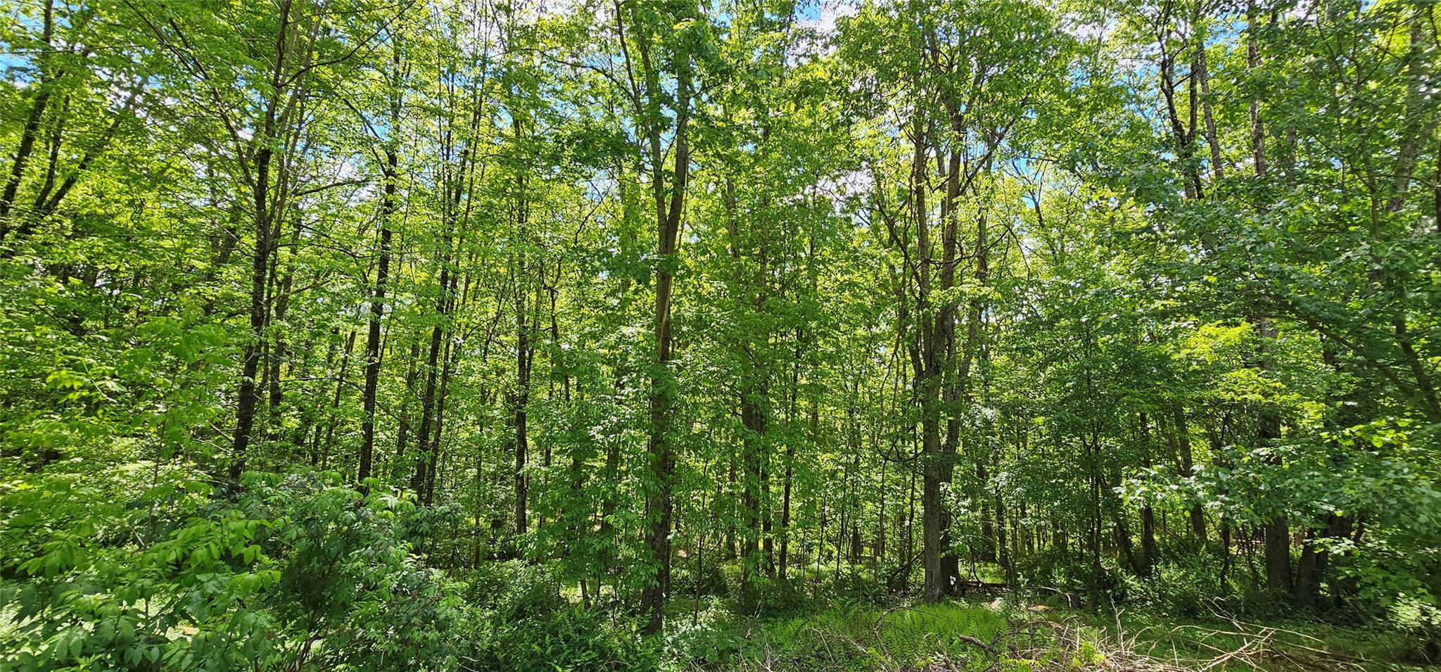 Single Family State Route 97  Sullivan County, NY 12764, MLS-829895-38