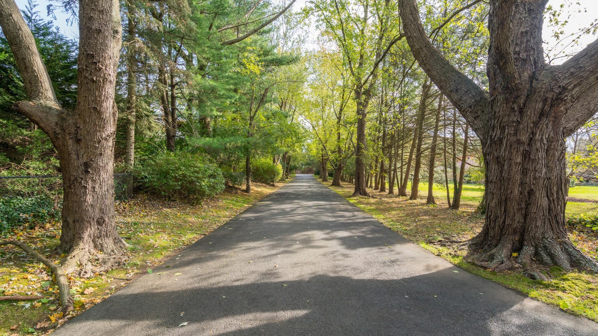 Single Family Morgan  Nassau County, NY 11568, MLS-829965-3