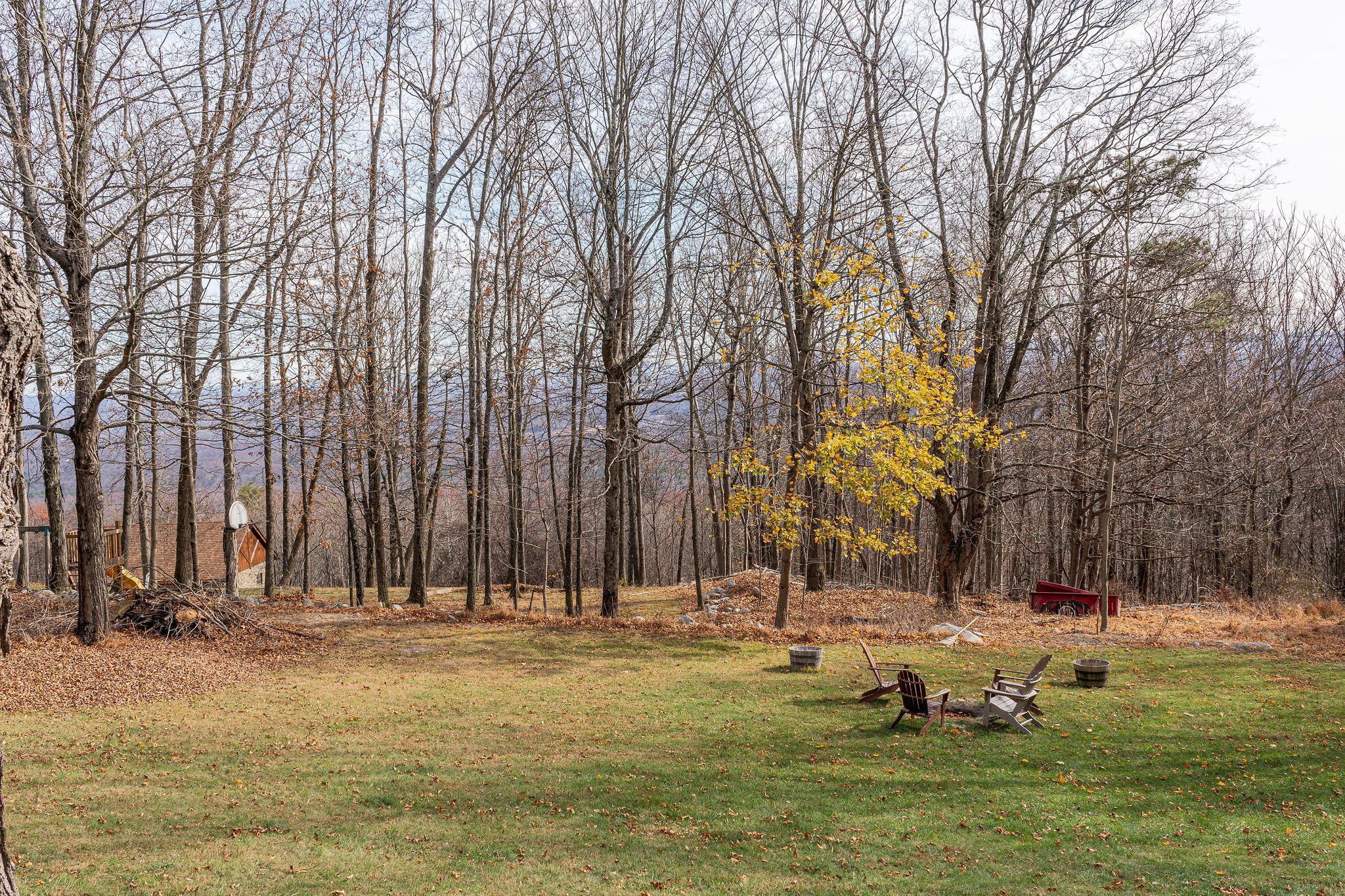 Single Family Fire Tower  Sullivan County, NY 12721, MLS-830165-24