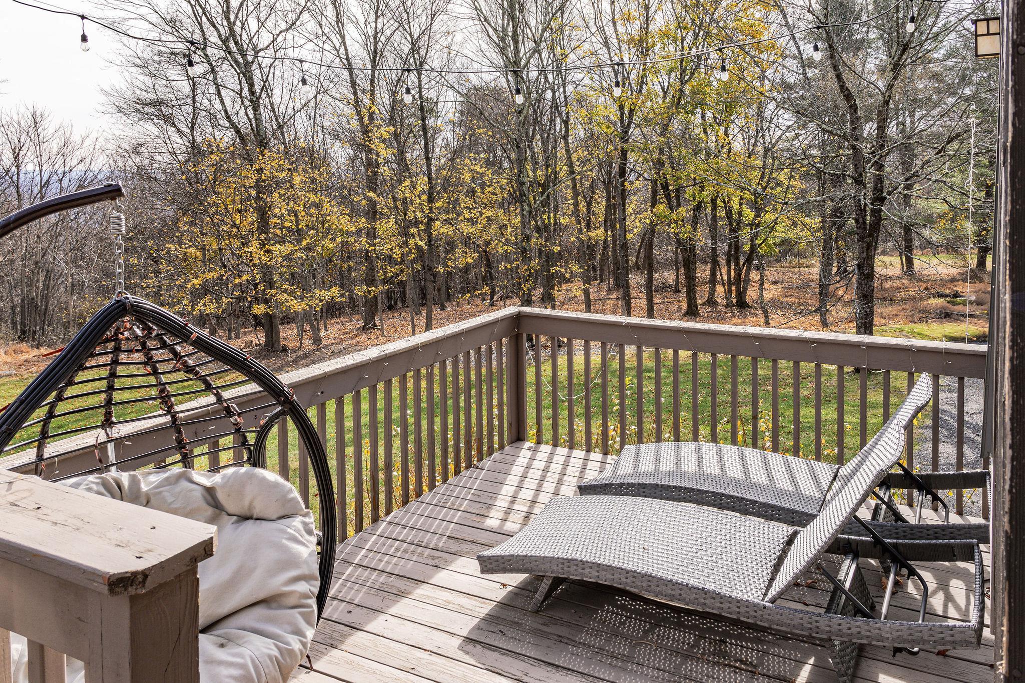 Single Family Fire Tower  Sullivan County, NY 12721, MLS-830165-27