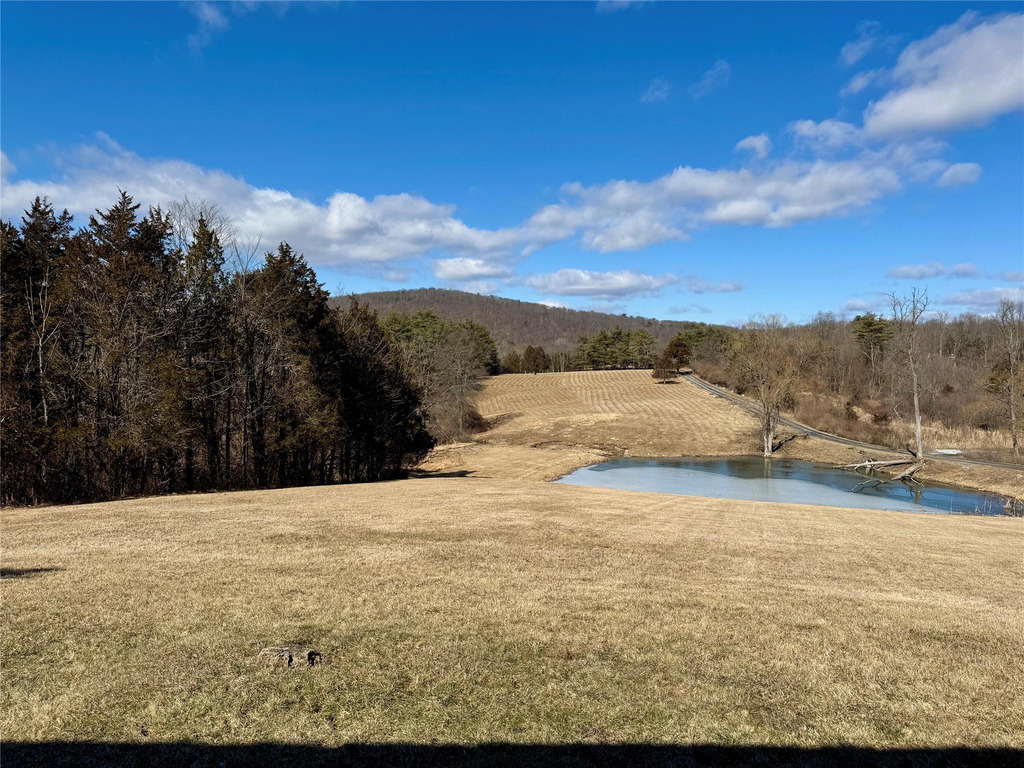 Single Family Old Kings  Greene County, NY 12414, MLS-830436-26