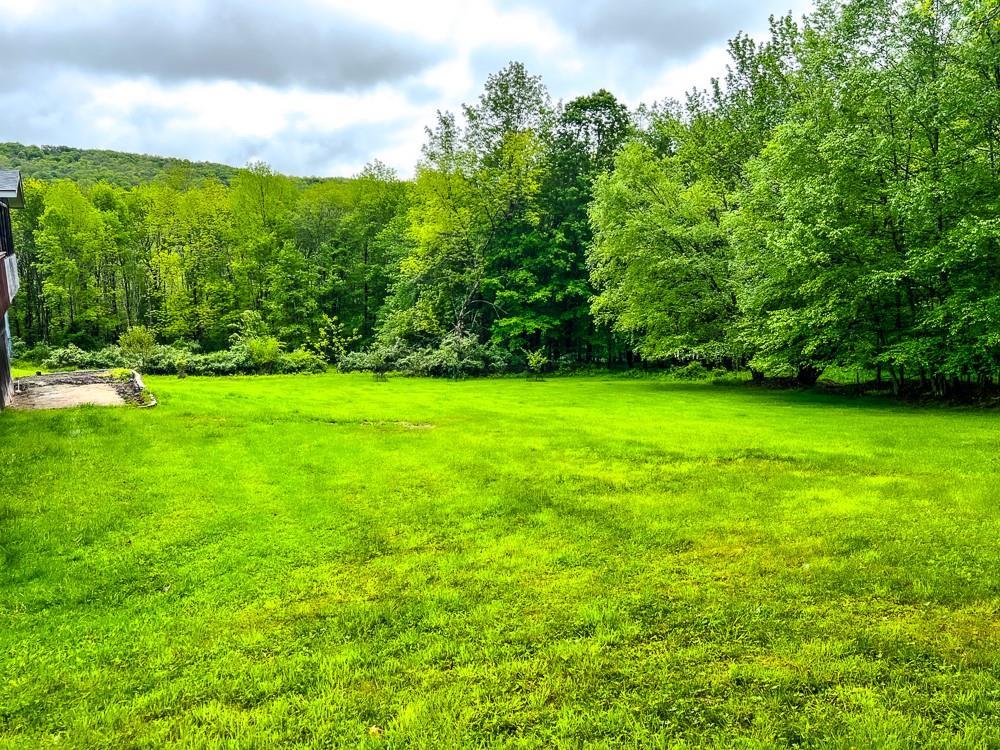 Single Family Hessinger Lare  Sullivan County, NY 12748, MLS-830490-39