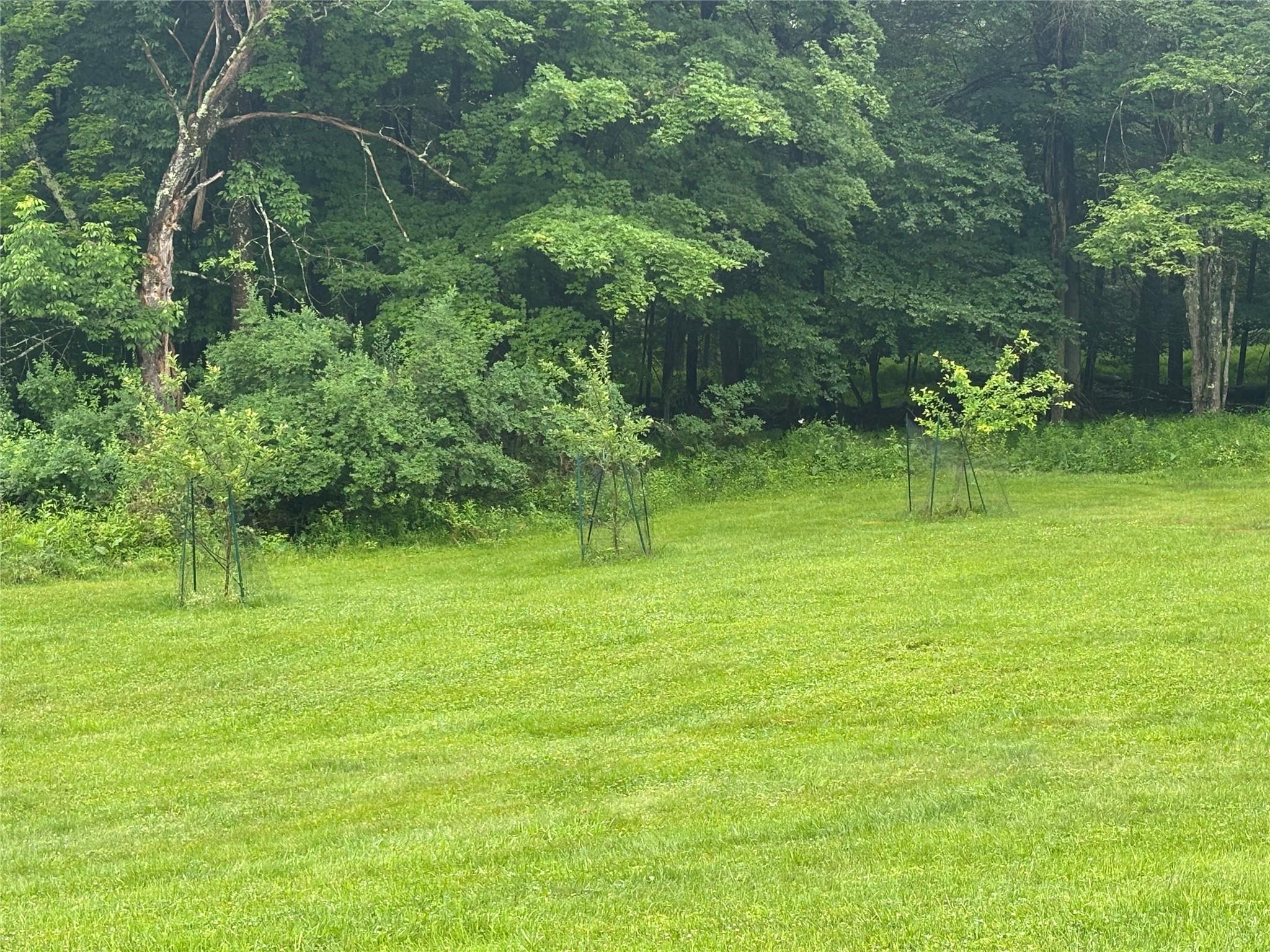 Single Family Hessinger Lare  Sullivan County, NY 12748, MLS-830490-45