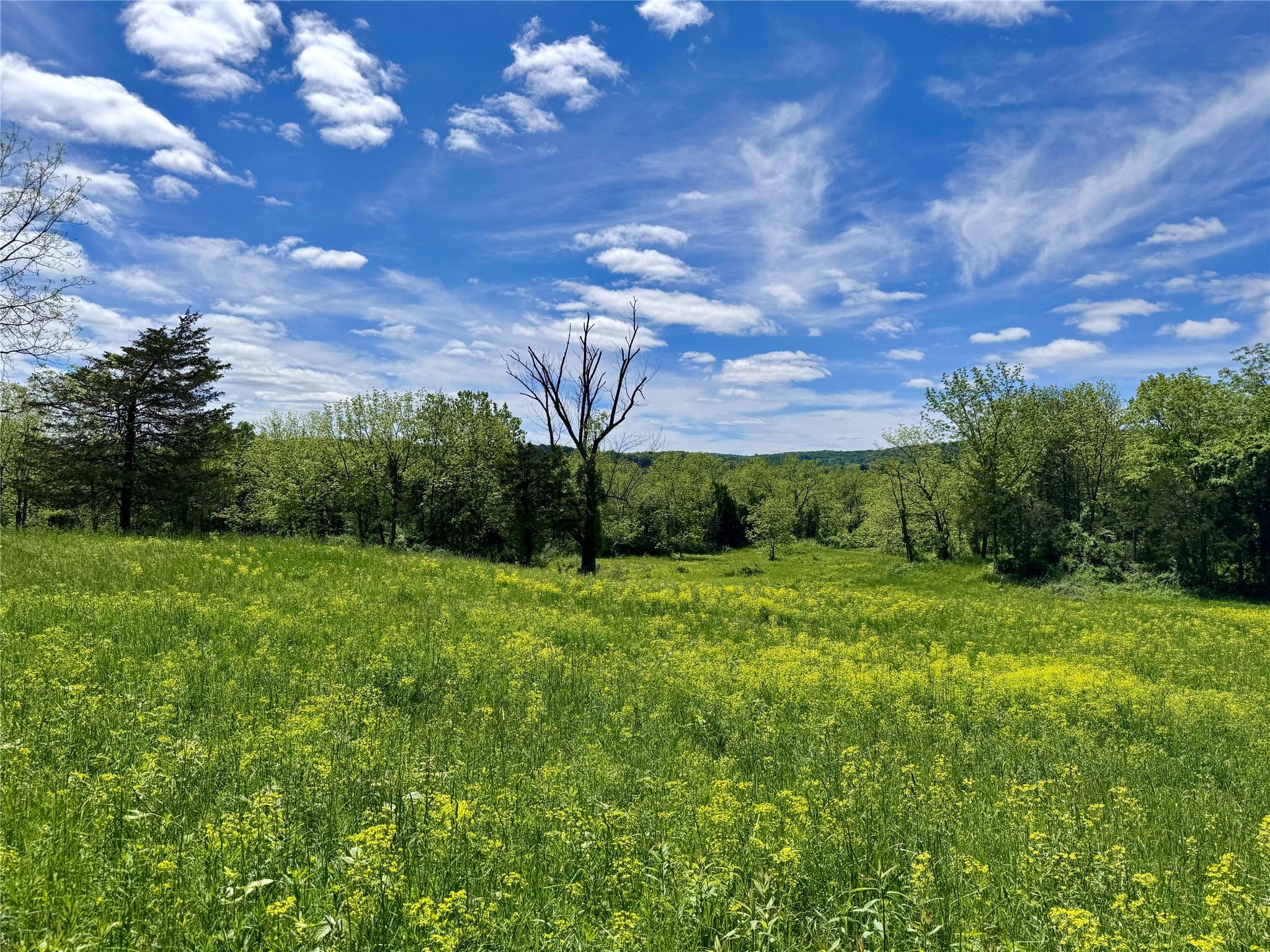 Single Family Juliet  Orange County, NY 10990, MLS-830533-11