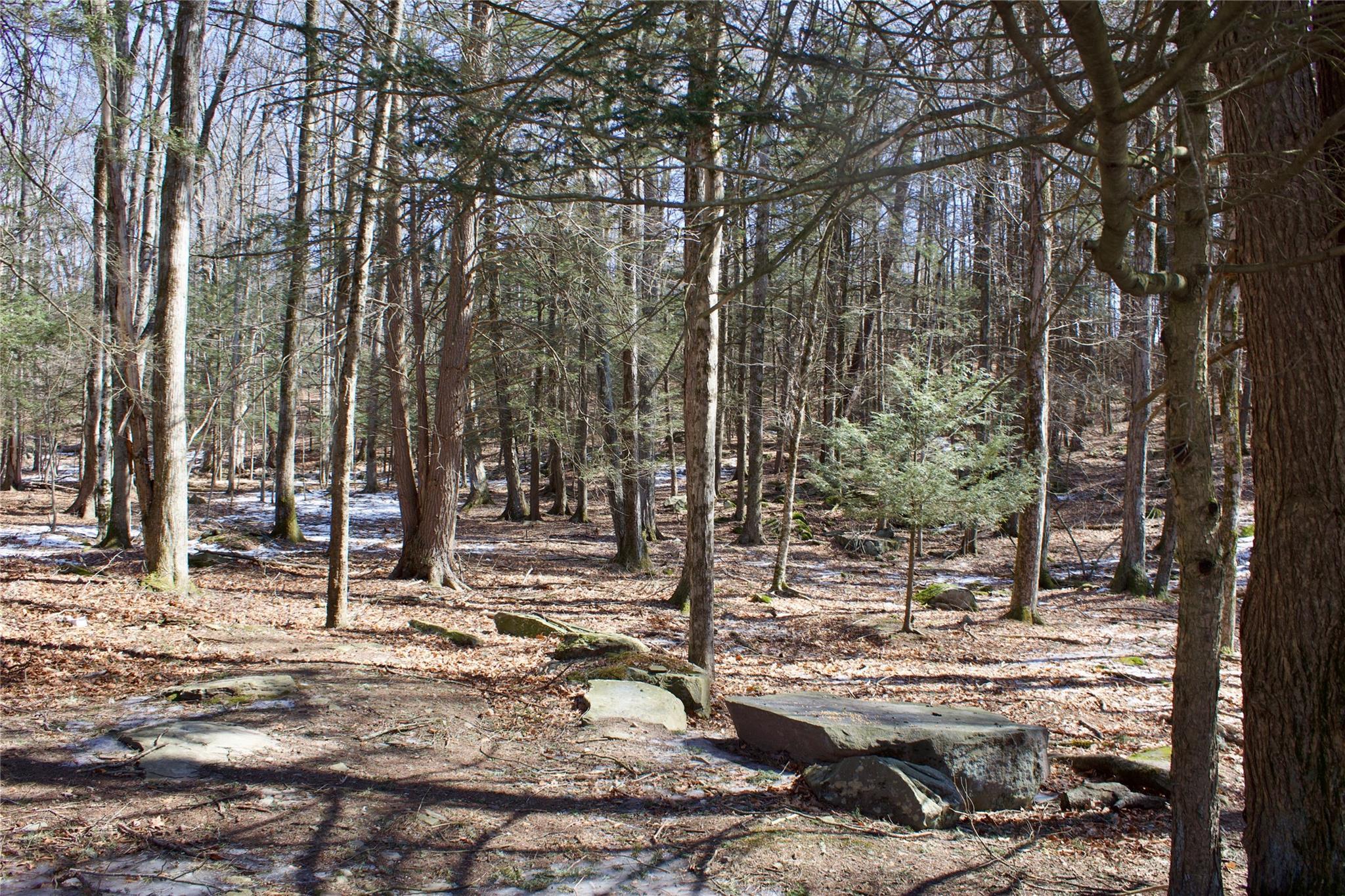 Single Family Deforest  Sullivan County, NY 12779, MLS-830687-11