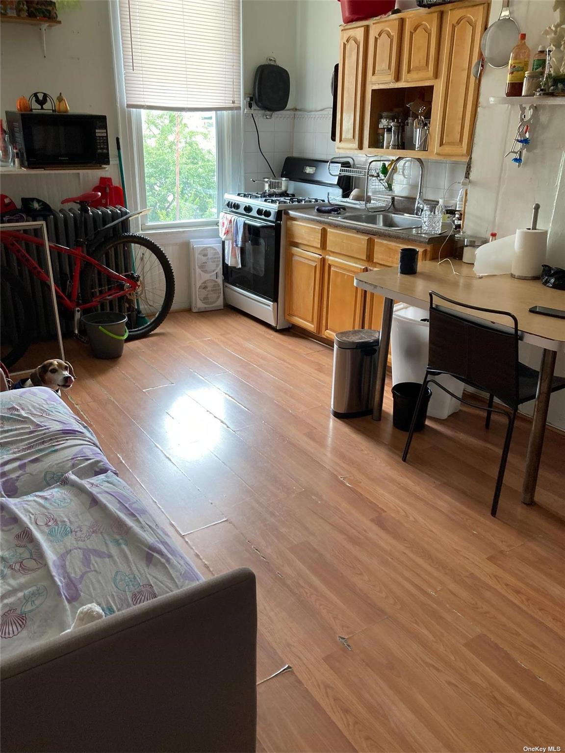 Apartment Greene  Brooklyn, NY 11237, MLS-830940-4