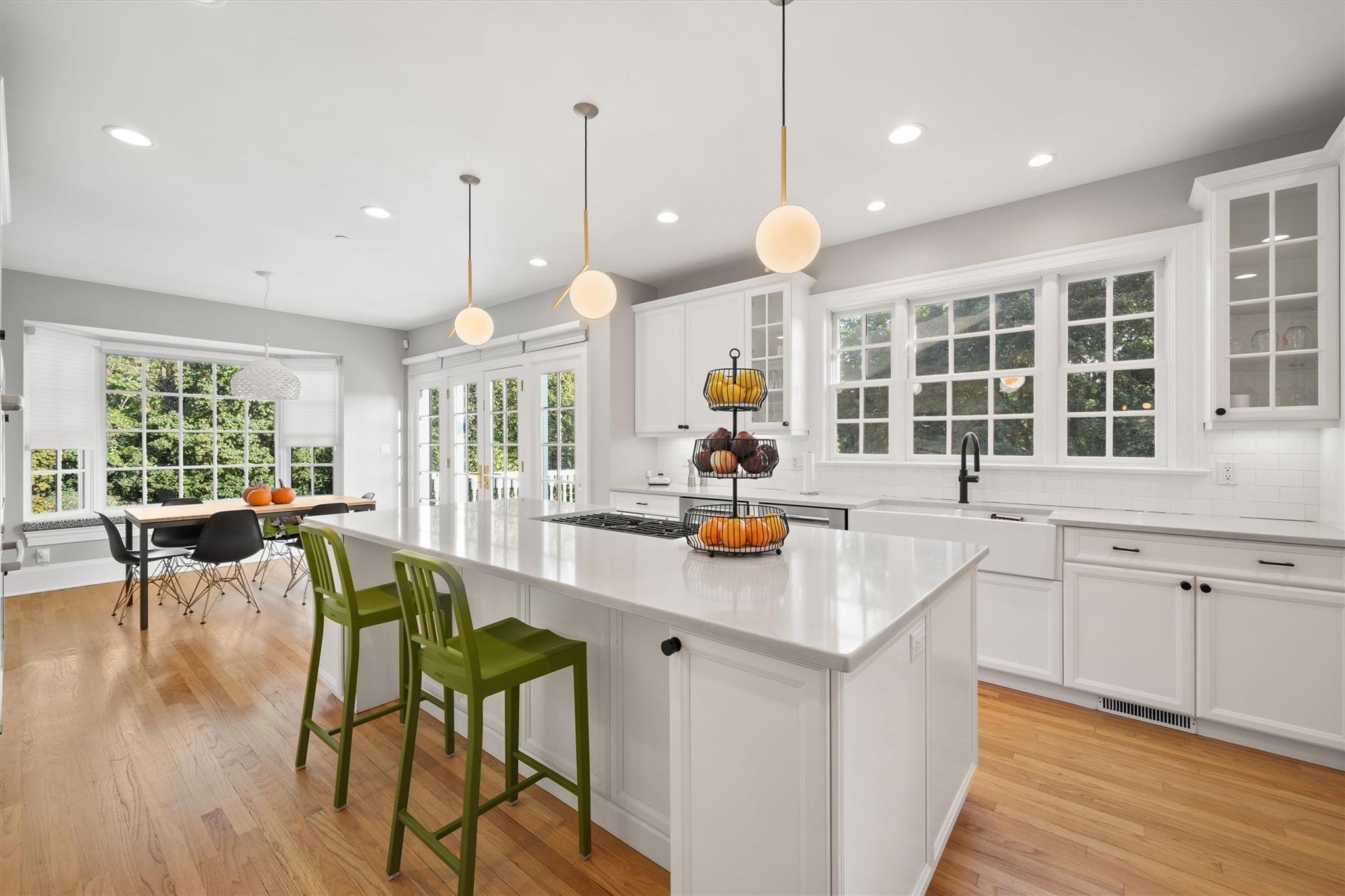 Single Family Belmont  Westchester County, NY 10533, MLS-831404-11