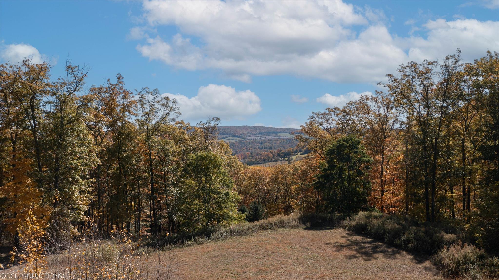 Single Family Cascade Mountain  Dutchess County, NY 12501, MLS-832285-12