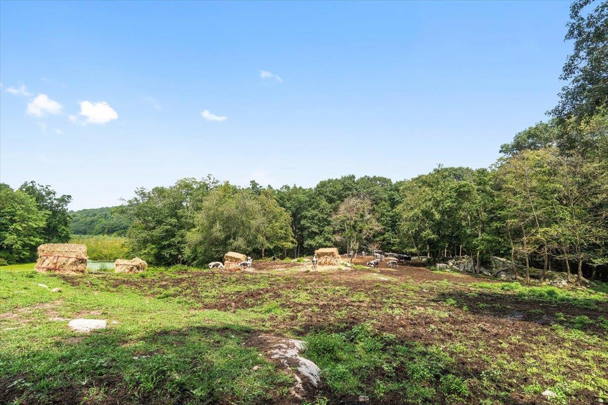 Single Family Gipsy Trail  Putnam County, NY 10512, MLS-832317-31