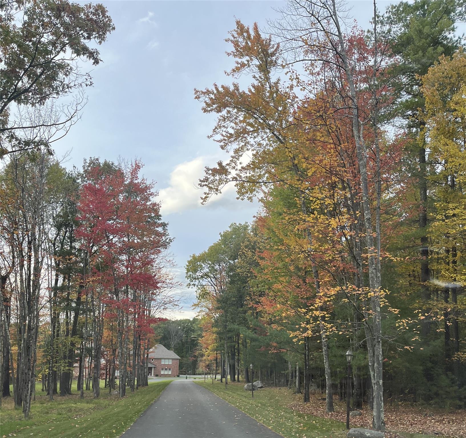 Single Family Mountain View  Out Of Area, NY 12018, MLS-832324-2