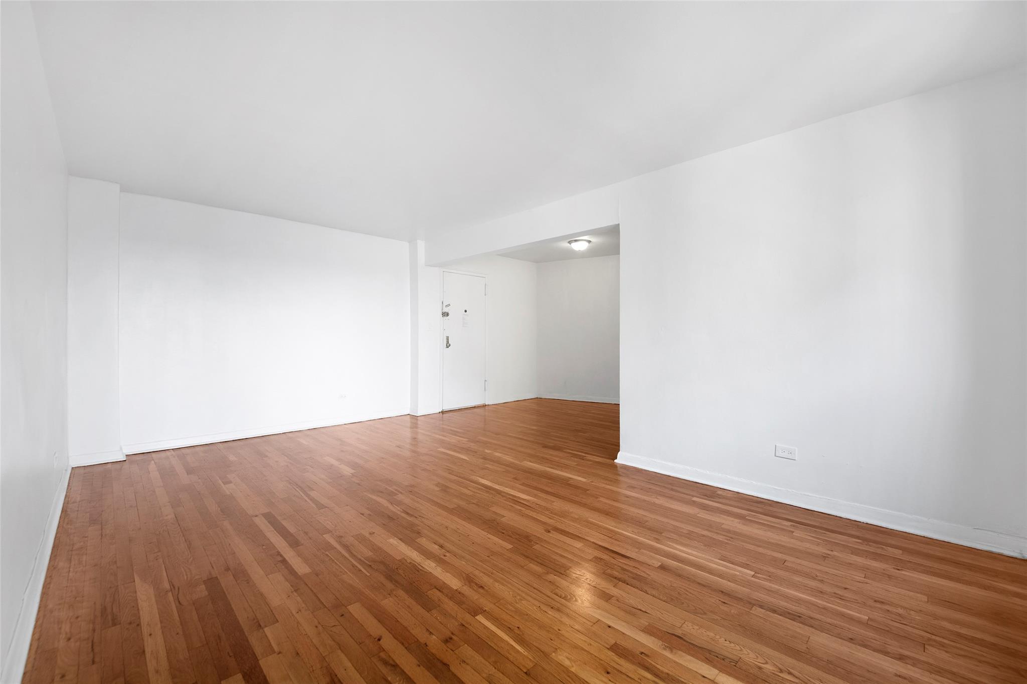 Coop Snyder  Brooklyn, NY 11203, MLS-832376-4