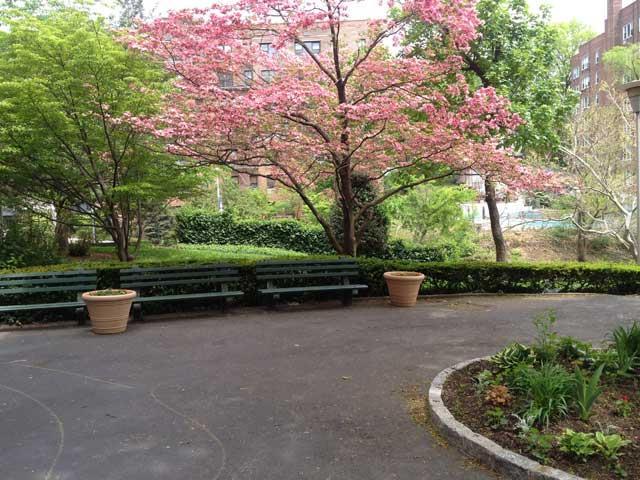 Coop Knolls  Bronx, NY 10463, MLS-832408-10