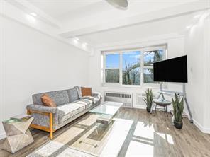 Apartment Palisade  Bronx, NY 10463, MLS-832573-5
