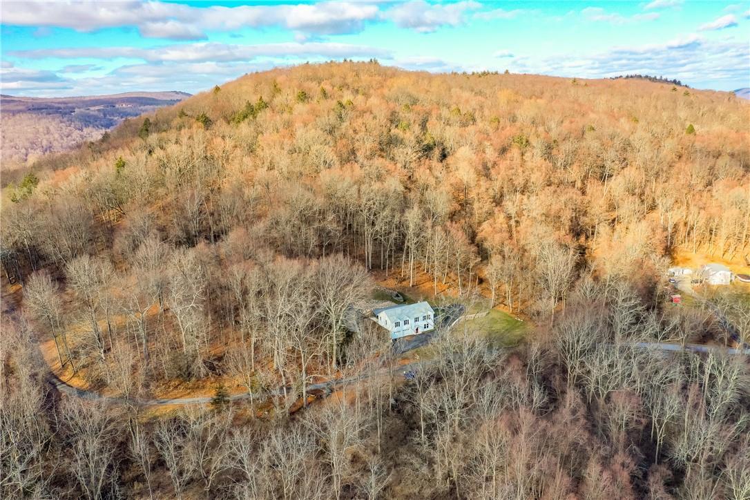 Single Family Nanny Hill  Dutchess County, NY 12564, MLS-832788-22