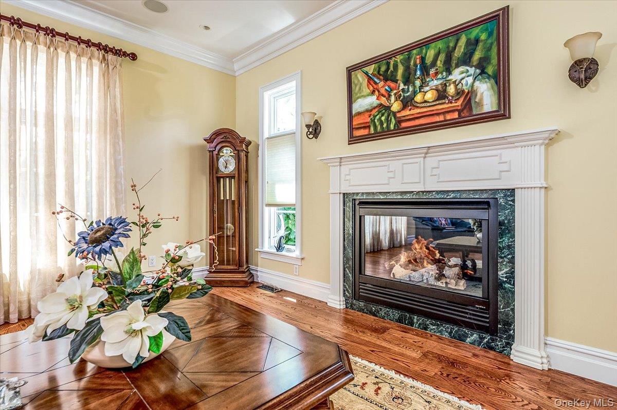 Single Family Ithaca  Nassau County, NY 11509, MLS-833405-14