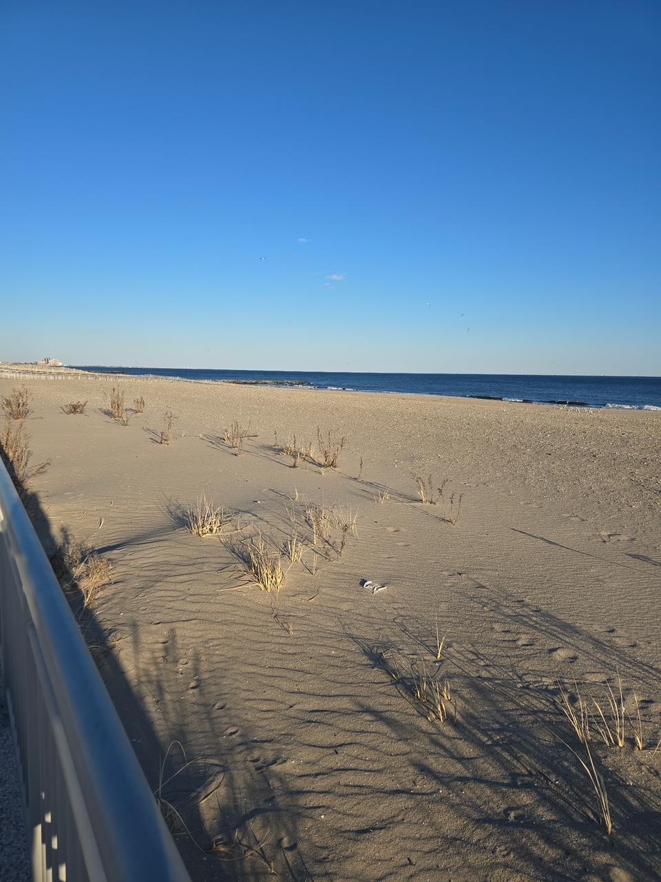 Apartment Beach 109th  Queens, NY 11694, MLS-833480-19